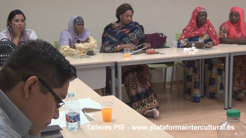 talleres-integracion-PIE-2017--4