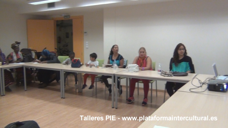 talleres-integracion-PIE-2017-7